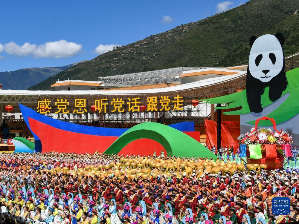 富贵鸟麻将机